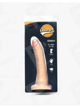 Groovy Realistic Dildo Champs packaging